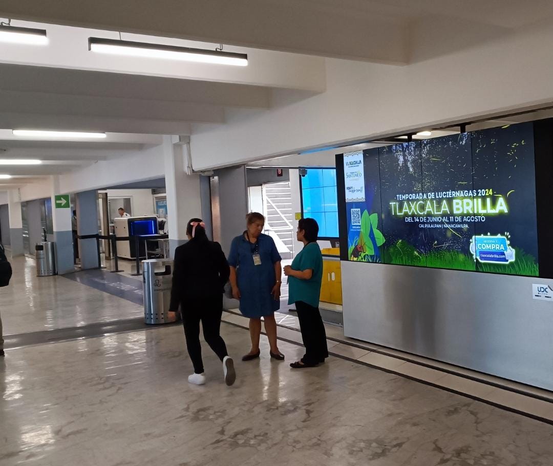 Promueven temporada de luciérnagas 2024 en pantallas digitales del Aeropuerto Internacional de la Cdmx